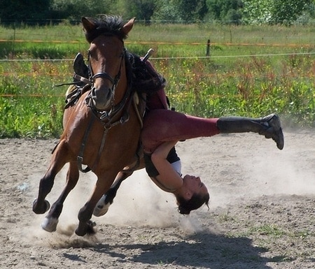 Free rider effect