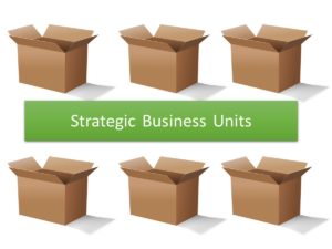 Strategic Business Units - 1