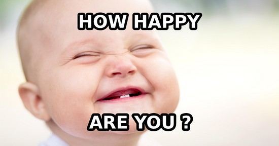 Customer satisfaction questionnaire