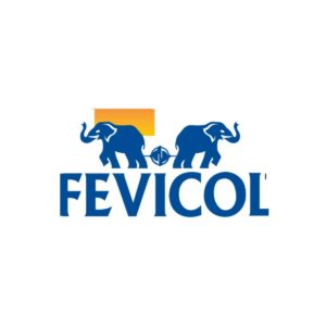 Marketing Mix Of Fevicol
