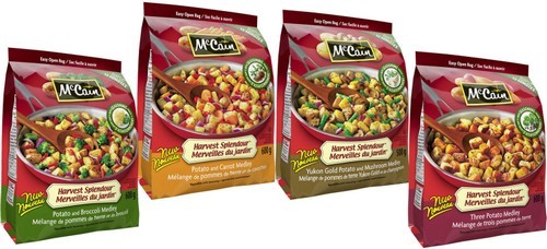 Marketing Mix Of McCain Foods 2