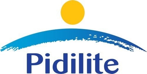 Marketing Mix Of Pidilite 