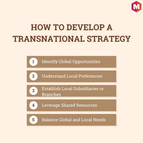 How to Develop a Transnational Strategy?