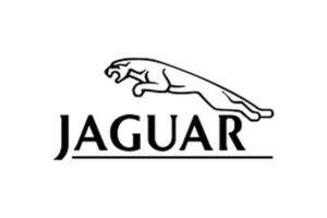 Marketing Strategy of Jaguar - 3