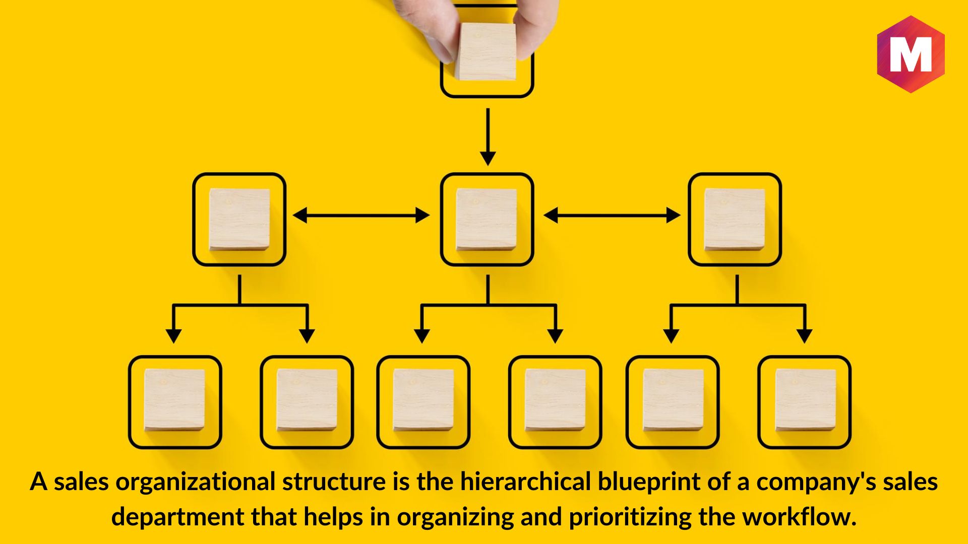 What is the Sales Organizational Structure