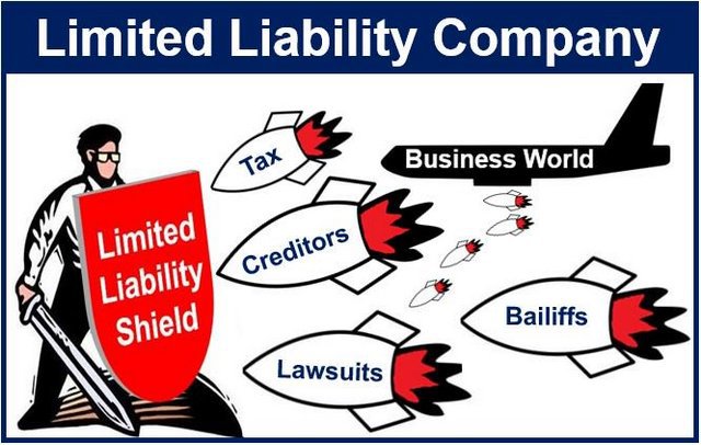 limited liability corporation