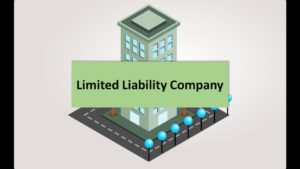 Limited Liability Company