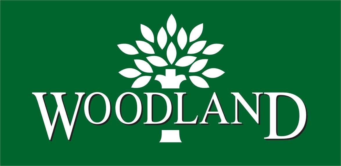 SWOT analysis of Woodland - 3