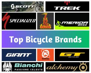 Top Bicycle Brands