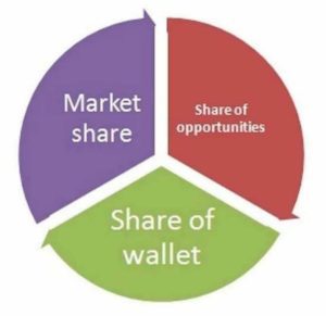 Share of Wallet - 3