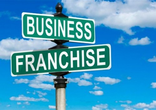 different types of franchises - 1