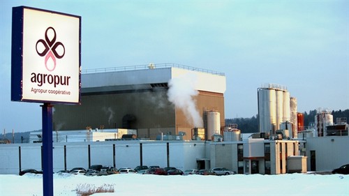 Dairy Companies - 19