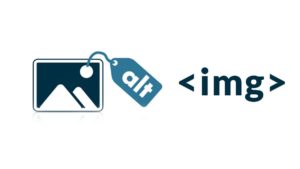 Image Alt text - 3