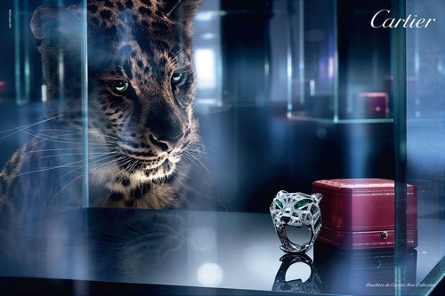 cartier marketing