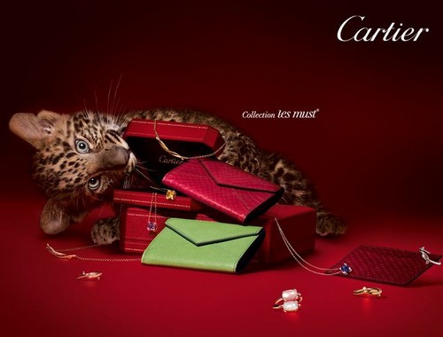 cartier brand awareness