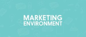 Importance of Marketing Environment - 3