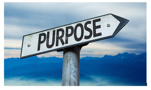 What Is The Purpose Of A Website Identifying Website Objectives
