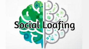 SOCIAL LOAFIN - 3