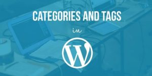 Categories Vs Tags - 9