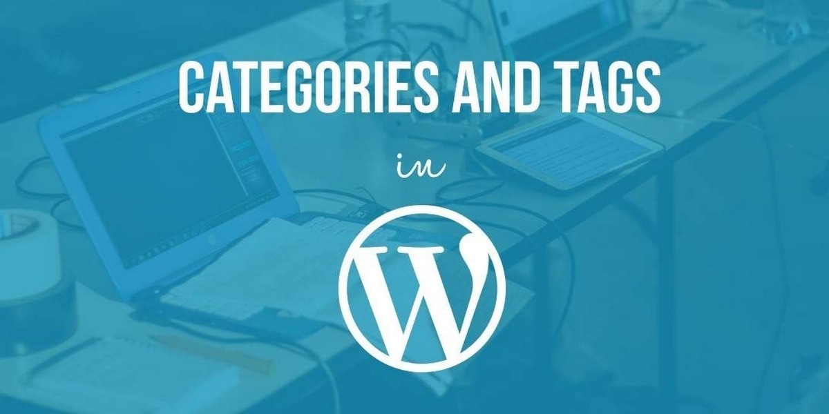 Categories vs Tags WordPress Categories vs WordPress Tags analysed