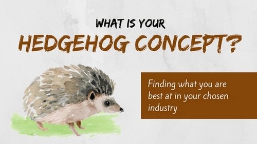 The Hedgehog Concept - 1