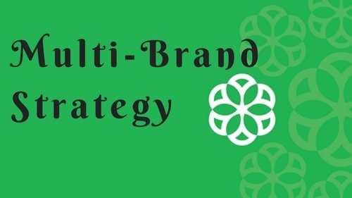 Multi-Brand Strategy - 2