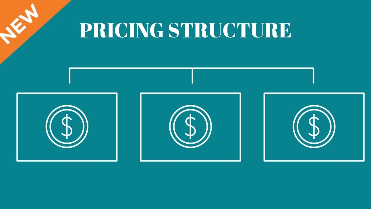 pricing structure for business plan