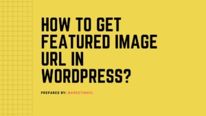 Featured Image URL in WordPress - 4