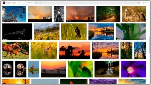 Free Social Media Images - 2