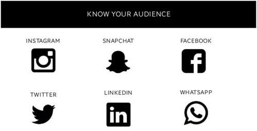 Social media audience - 1