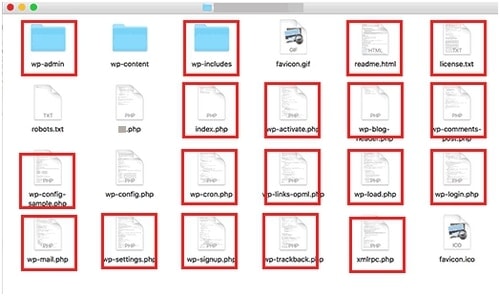 WordPress File and Directory Structure - 2