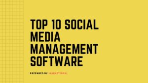 social media management software - 11