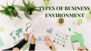 Types of Business Environment - 10