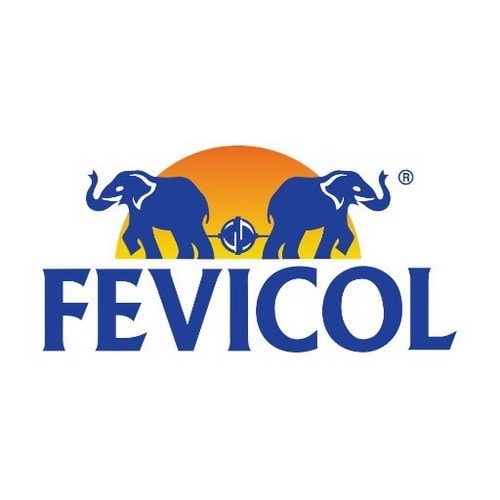 SWOT Analysis of Fevicol - 1