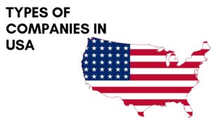 Types of Companies in the US - 5