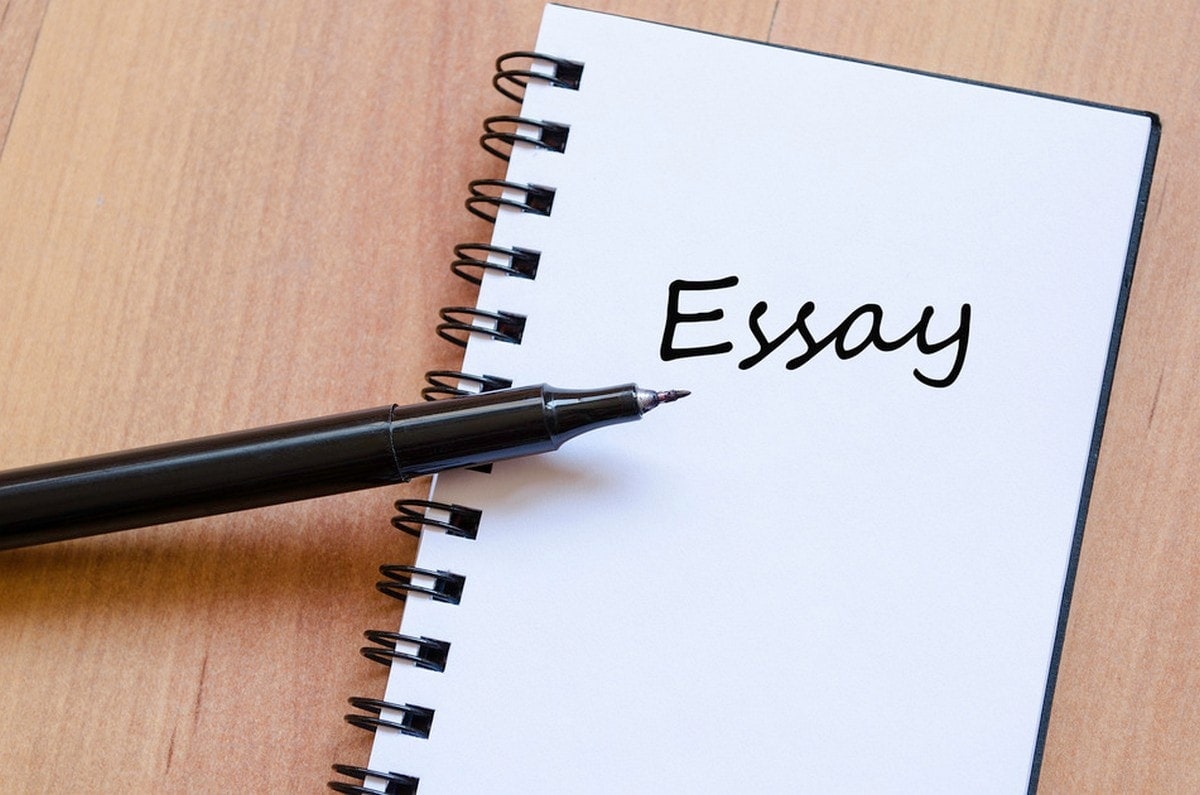 Essay writing online job