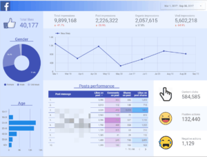 Facebook Page Insights - 1