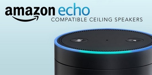 Top Smart Speaker Brand - 1