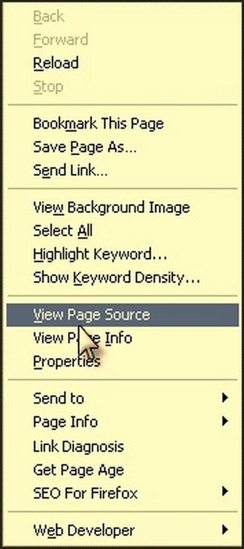 What is Meta Description