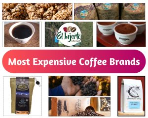 Most Expensive Coffees