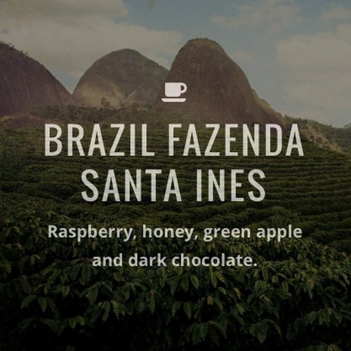 #10 Fazenda Santa Ines Coffee