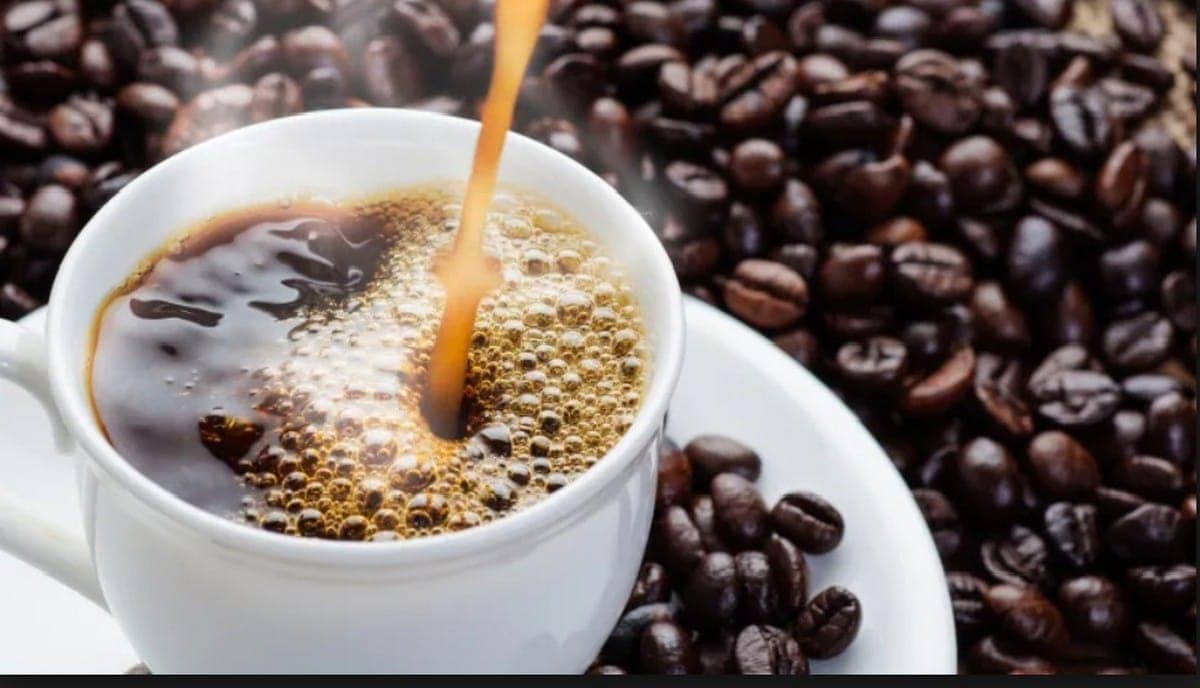 13 Type Of Most Expensive Coffee In The World Marketing91