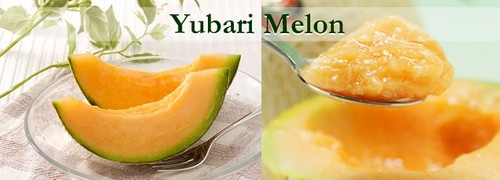 #6 Yubari King Melon