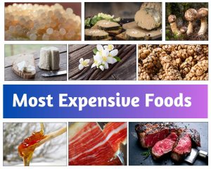 Most Expensive Foods