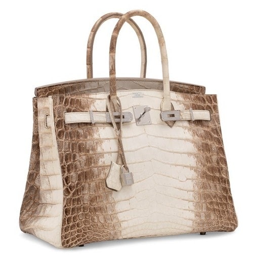 Niloticus Crocodile Himalaya Birkin