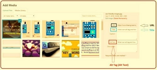 Optimize Images for SEO