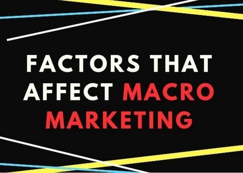 What is Macromarketing 