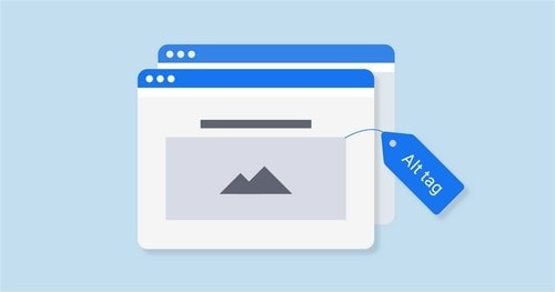 Use of Image and Alt Tags