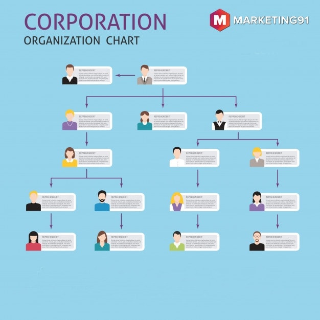 #5 The organized structure of work