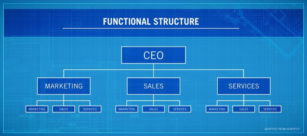 Functional Organization Definition Examples Features And Advantages